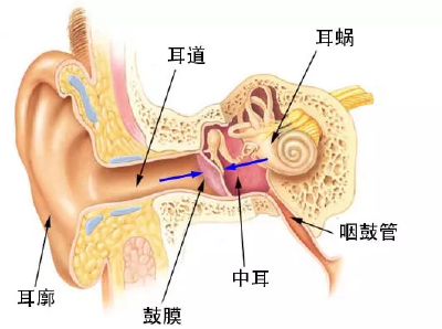 停手！不要再掏耳屎了
