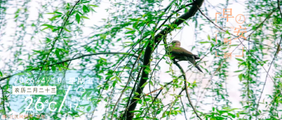 早安·荆州丨斗志昂扬！荆州恒隆队全力备战揭幕战