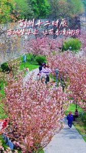 这个清明假期，相约荆州古城老南门！共赏南城梦华，醉享御河花香！