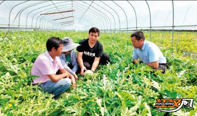 从一颗卖不掉的西瓜到一片金色沃土——全国劳动模范徐锋的创业故事