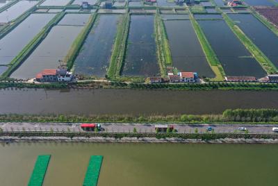 荆州公安县：营造“畅、安、舒、美”公路通行环境