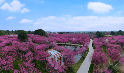 荆州：寻迹古城原生春色