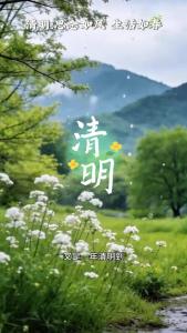 清明：思念如风，生活如春