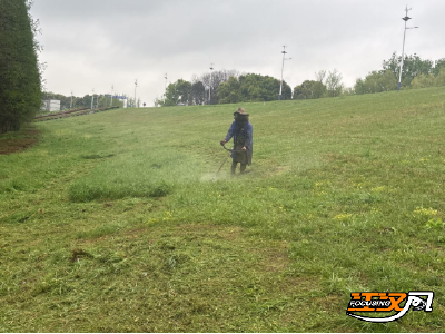 阳春四月除杂忙  巍巍荆堤焕新颜