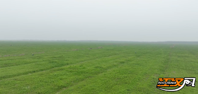 荆州石首荻笋：滩涂里的“脆嫩宝藏”