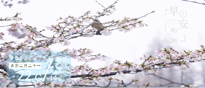 早安·荆州丨亲爱的石石，荆荆要来了~