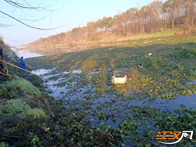 江陵县沙岗镇：聚焦流域治理  守好碧水蓝天