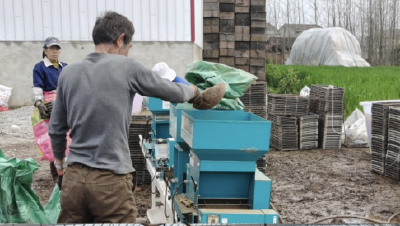 荆州石首：秸秆变身育秧土 绿色春耕促增收