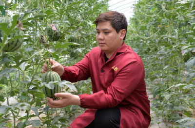 石首“三人一村”获评全省典型 展现乡村振兴多元路径