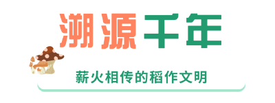 太空舱、峒山稻、出海梦……鄂城这个基地火了！