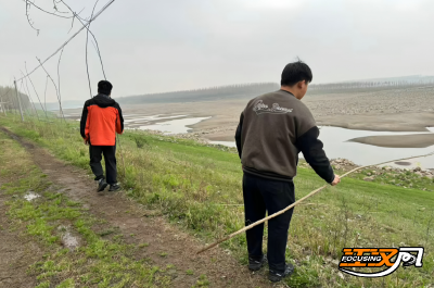 江陵河道分局：清除违规植树 保障行洪畅通