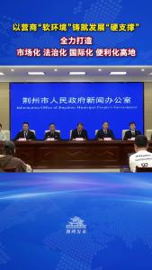 荆州市发展和改革委员会党组书记、主任李义：全力打造市场化、法治化、国际化、便利化高地！