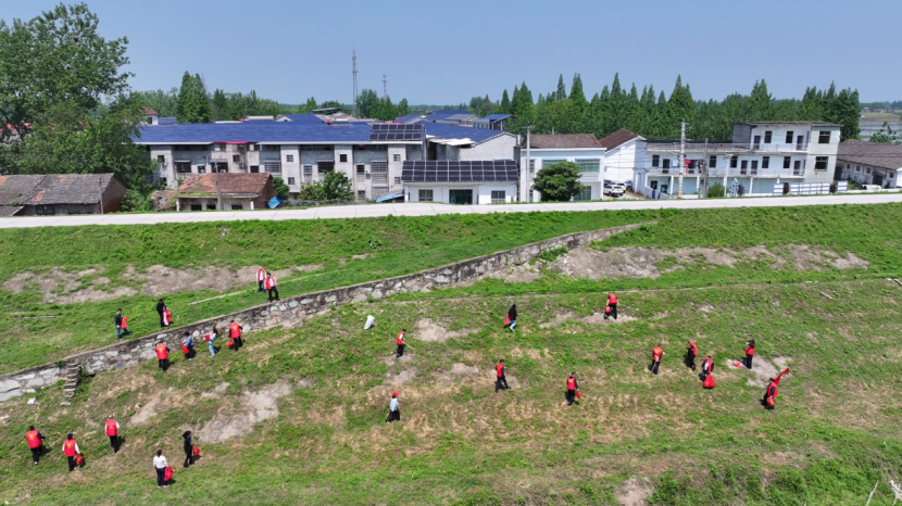 石首市久合垸乡：区域党建聚合力 湘鄂同心护江河