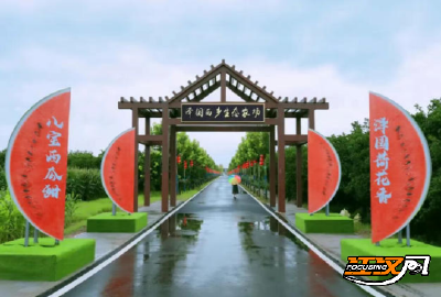 松滋市八宝镇：“村企共建” 擦亮“八宝果蔬”品牌