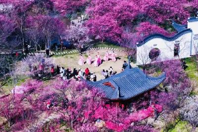 荆州区：下好“三步棋” 绘就和美乡村新图景