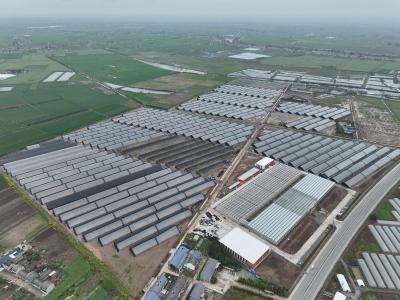 荆州松滋市：科技赋能“菜篮子” 智慧“蔬写”新篇章