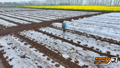 荆州江陵：大棚里的“小心机”  让瓜果赢在“甜蜜起跑线”