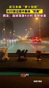 3月31日晚，湖北武汉“萝卜快跑”集体“趴窝”，网友称 AI 也需强制休息