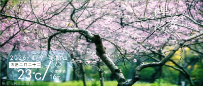 早安·荆州丨事关医保，荆州首批推进！