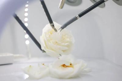 肿瘤防治，我国有新突破