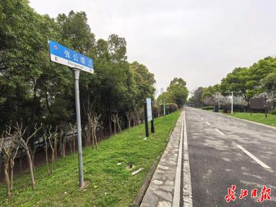 你知道汉口怎么“长大”的吗？答案就在这条堤上