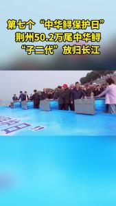 荆州50.2万尾中华鲟“子二代”放归长江
