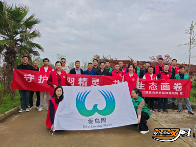 守护飞羽精灵 共绘生态画卷——江陵县开展第四十四届“爱鸟周”系列宣传活动