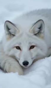 荆州经开区返乡创业大礼包来啦