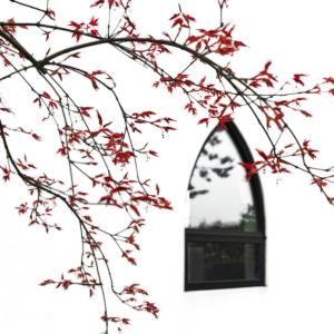 2025年第二届"城·色"荆州摄影创作交流活动回眸：光影镌刻千年楚韵（三）荆州摄影家作品选