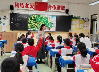 定了！两区教育协同这样干