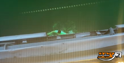 暖新闻 | 从桥北到桥南 三人接力救起落水者