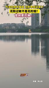 气温较常年偏高，花粉季提前来了！