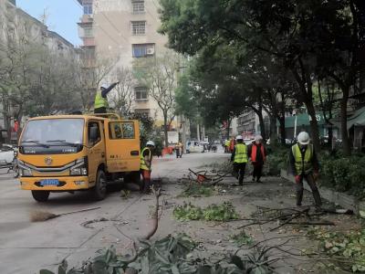 沙市城管抢抓雨停间隙修剪树木：半月清理绿化垃圾超80吨