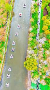 荆州限定款，转发收藏→