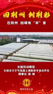 回荆州 创荆彩 | 全国劳动模范、石首市天字号瓜蔬土地股份专业合作社理事长徐锋：在荆州，田畴有“丰”景