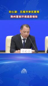 刘心波：五措并举优营商，荆州营商环境提质增效