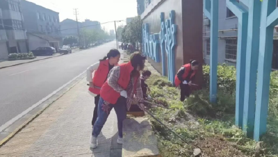 【办实事 在行动】公安县：党群携手清洁家园  共建宜居和美乡村