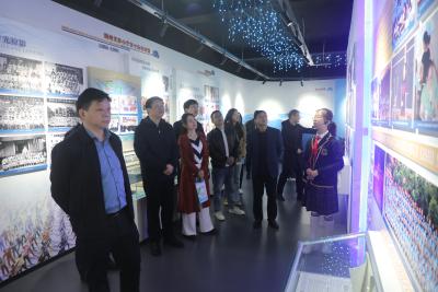 团省委调研荆州实小未成年人思想道德建设工作