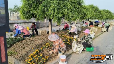 9万盆鲜花扮靓城市窗口：迎“五一”荆州古城东门添花海
