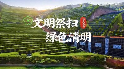 倡导绿色文明祭扫新风尚  荆州市开展清明鲜花置换活动