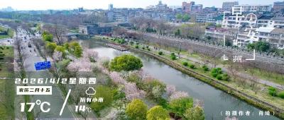 早安·荆州丨事发荆州街头！路人集结抬车