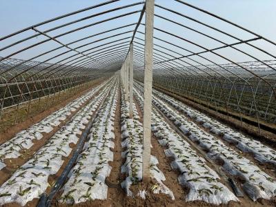 “膜”力全开！荆州区积极推进膜科学使用回收项目