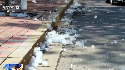 进入高发期，紧急提醒！这一点千万小心