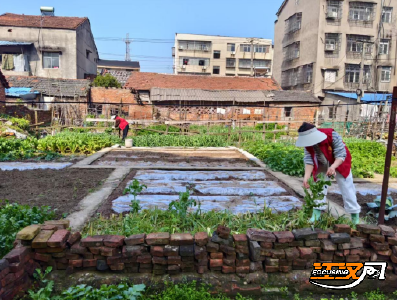 边排查、边整治、边宣传！荆州经开区鱼农桥街道织密禁毒“防护网”