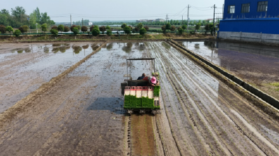 石首市团山寺镇：春耕跑出“加速度”   智慧农业助丰收