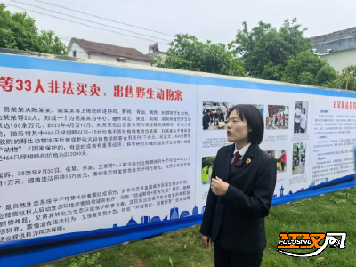 【守护长江 检察同行】系列报道（一）给落难的生灵一个家