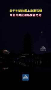 当千年楚韵遇上浪漫花朝 来荆州共赴这场繁花之约