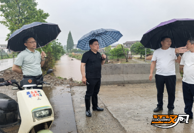 监利市三洲镇：以时时放心不下的心筑牢防汛安全
