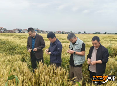 荆州：联合指导组深入一线服务夏收