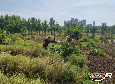 荆州区荆西社区：田间地头话禁烧  反诈宣传入人心